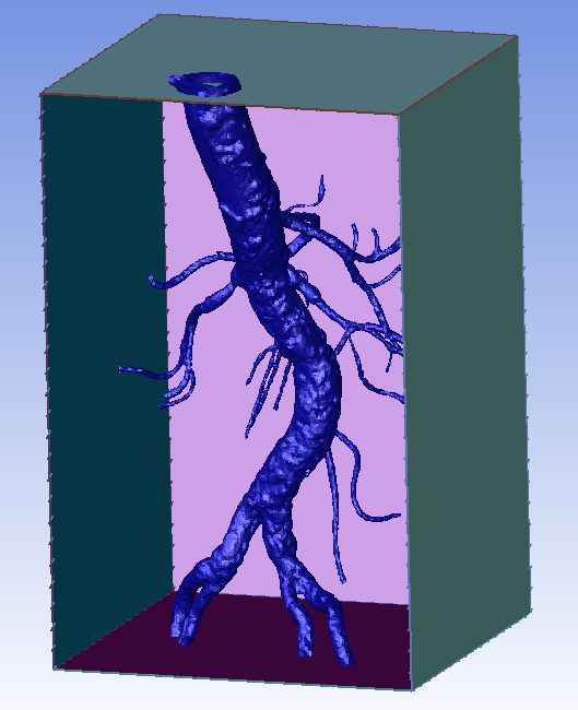 Bounding box is used to provide capping surfaces for the internal flow domain.